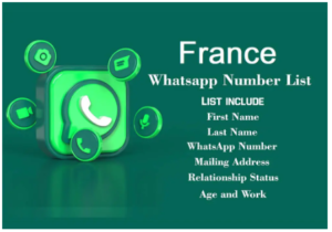 france whatsapp number data